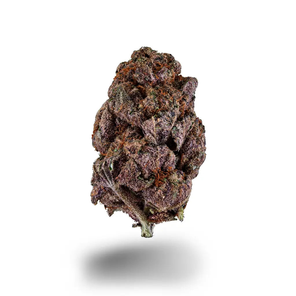 Detailaufnahme einer kompakten Cannabisblüte mit violetten und orangefarbenen Nuancen.