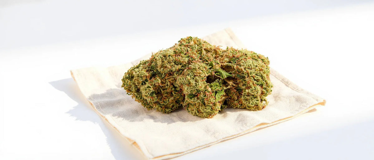 Cannabis Vape Apotheke: hellgrüne Hanfblüte auf Leinentuch im Sonnenlicht
