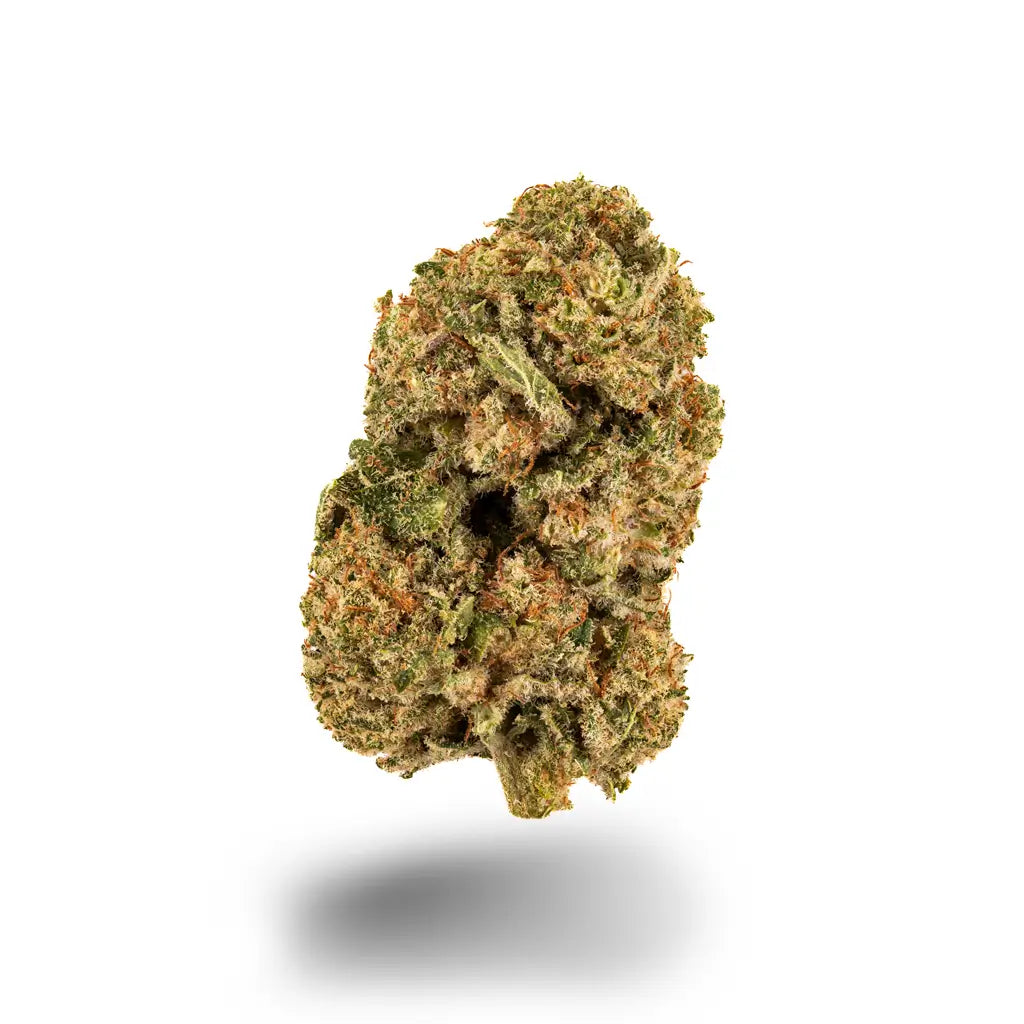 Eine dichte grüne Cannabisblüte mit leuchtend orangefarbenen Härchen und weißen Trichomen auf weißem Hintergrund.