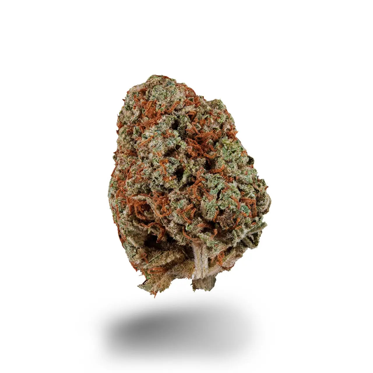 Eine abgerundete grüne Cannabisblüte mit dichten orangefarbenen Härchen und frostigen Trichomen auf weißem Hintergrund.
