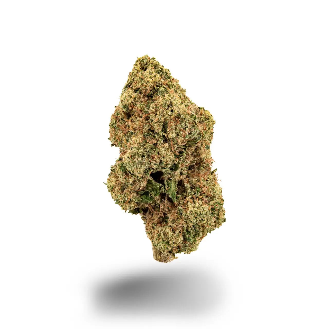 Eine frostige, blassgrüne Cannabisblüte mit bernsteinfarbenen Härchen auf weißem Hintergrund.
