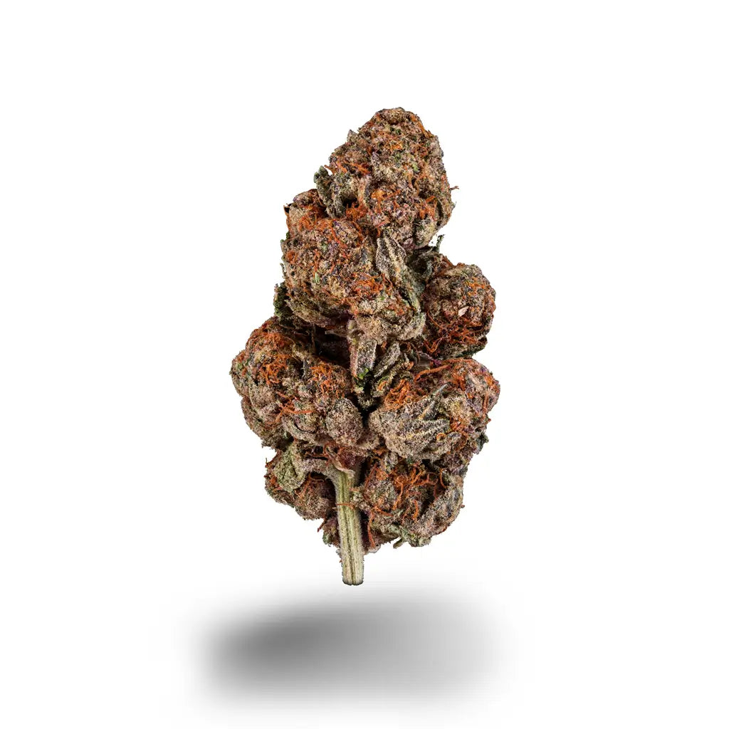 Detailaufnahme einer dichten Cannabisblüte mit orangefarbenen Härchen.