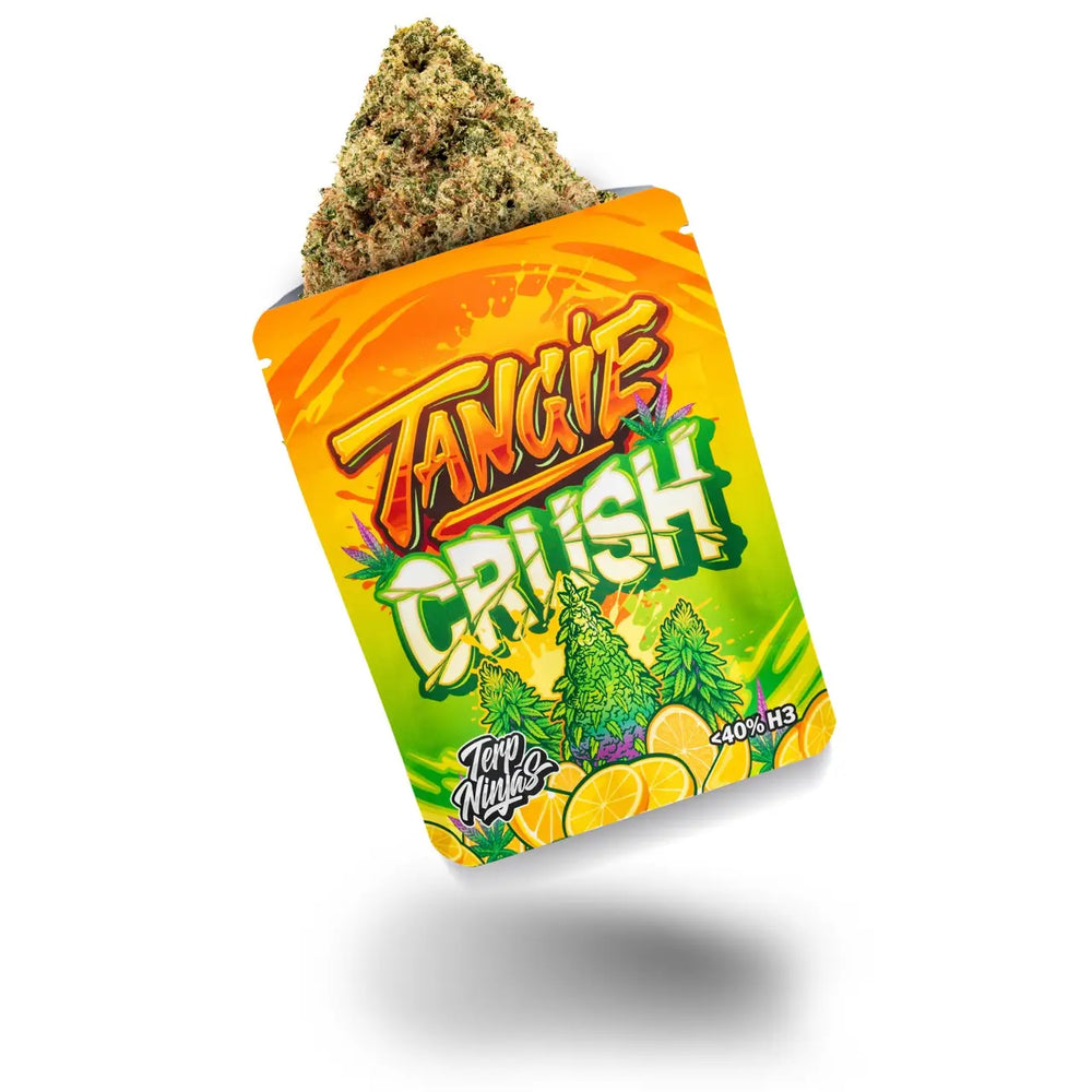 Tangie Crush Markenverpackung, aus der oben eine frostige grüne Cannabisblüte ragt, auf weißem Hintergrund.