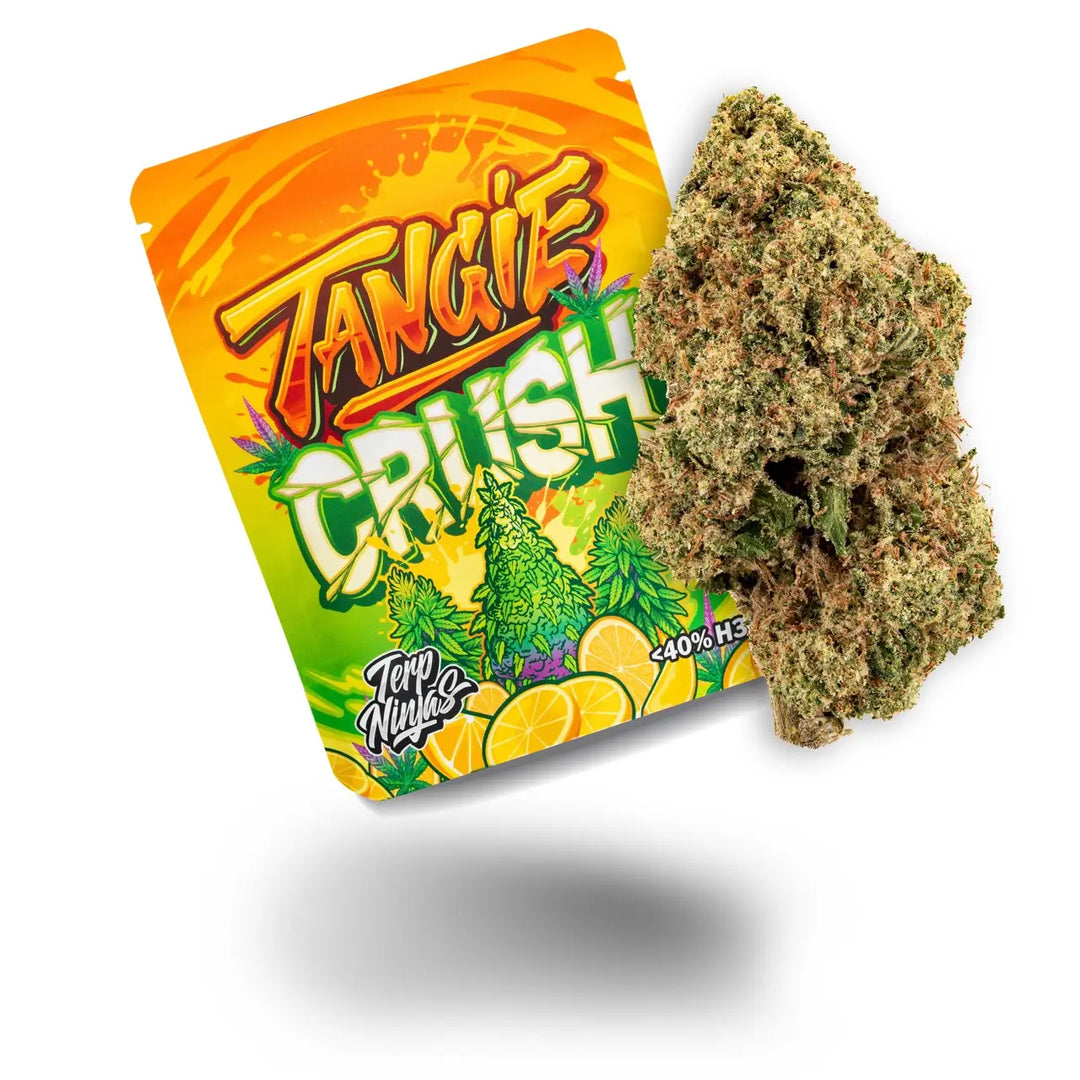 Hanfblüte der Sorte Tangie Crush in Einzelansicht